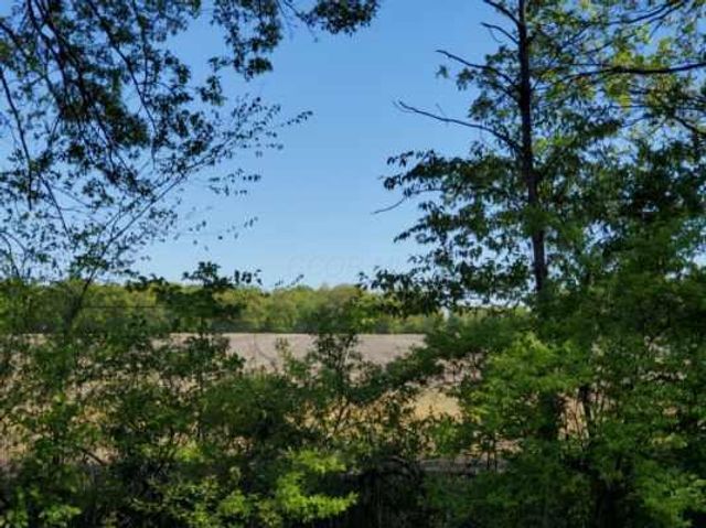 0 Woodtown Road, Tract 7, Galena, OH 43021