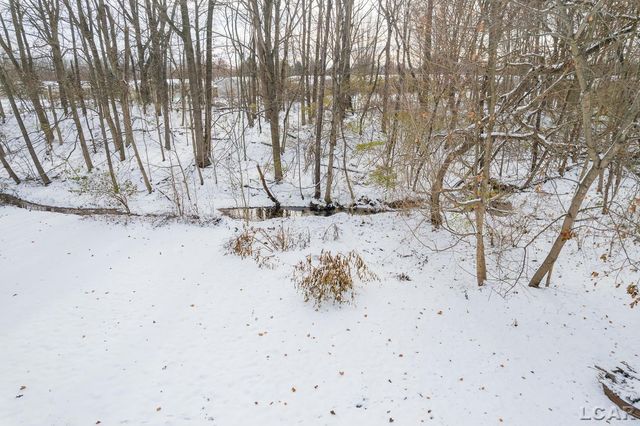 9249 TONNEBERGER Drive, Tecumseh Twp, MI 49286