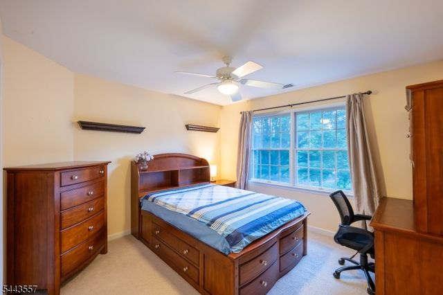 7 Stone Mountain Ct, Montgomery Twp., NJ 08558