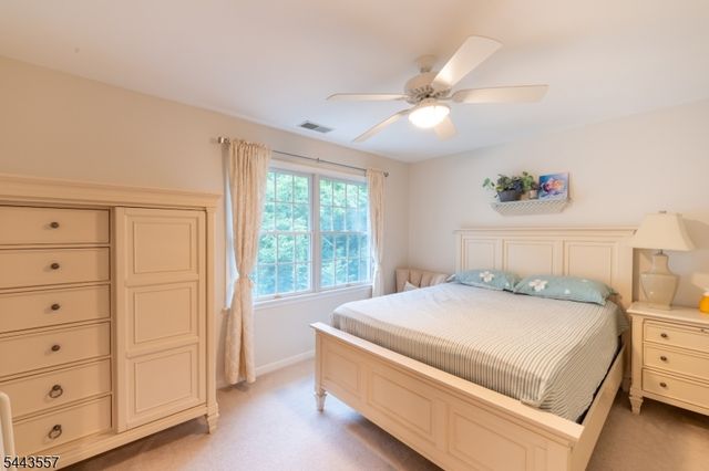 7 Stone Mountain Ct, Montgomery Twp., NJ 08558