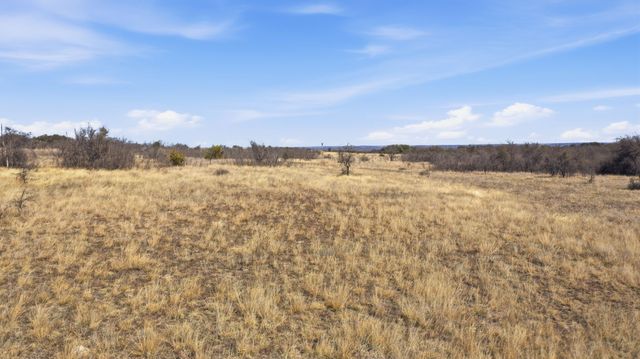 Lot 44 County Road 266, Gustine, TX 76455