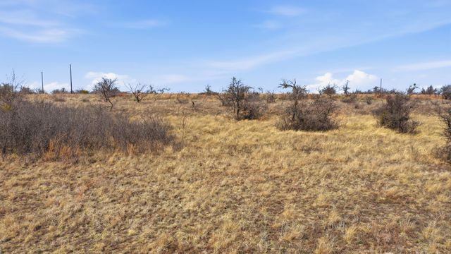 Lot 44 County Road 266, Gustine, TX 76455