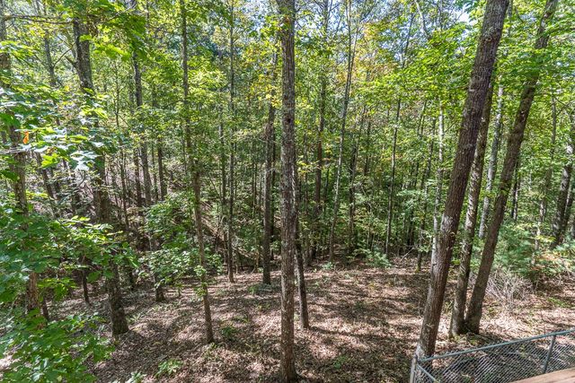 45 Settlers Crossing Way, Murphy, NC 28906