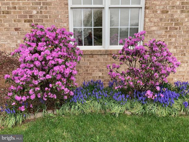 608 TRAFALGAR DR, Hagerstown, MD 21742