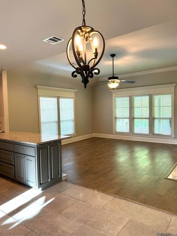 12189 Deventer Dr, Geismar, LA 70734