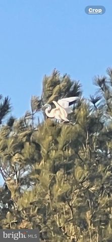 12033 ASSATEAGUE WAY, Berlin, MD 21811