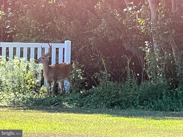 12033 ASSATEAGUE WAY, Berlin, MD 21811