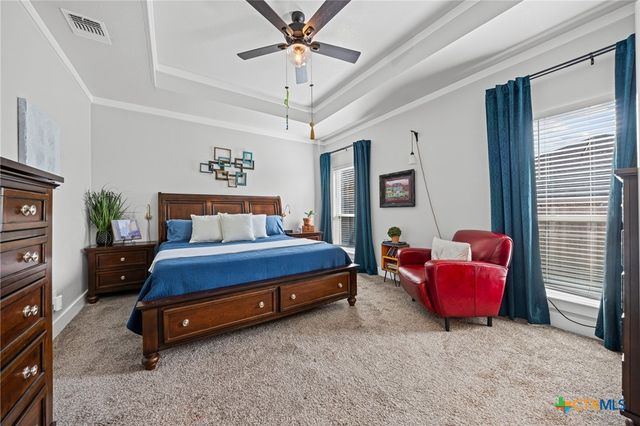 203 Slippery Elm Drive, Nolanville, TX 76559