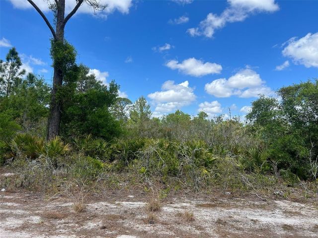 331 TANAGER AVENUE, Sebring, FL 33870