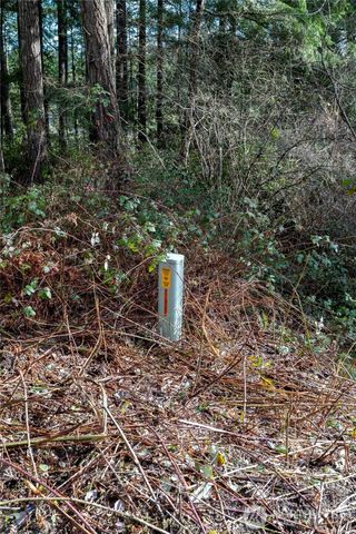 11515 189th Avenue NW, Gig Harbor, WA 98329