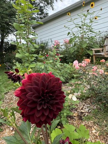 395 E OAK LANE, Oak Creek, WI 53154