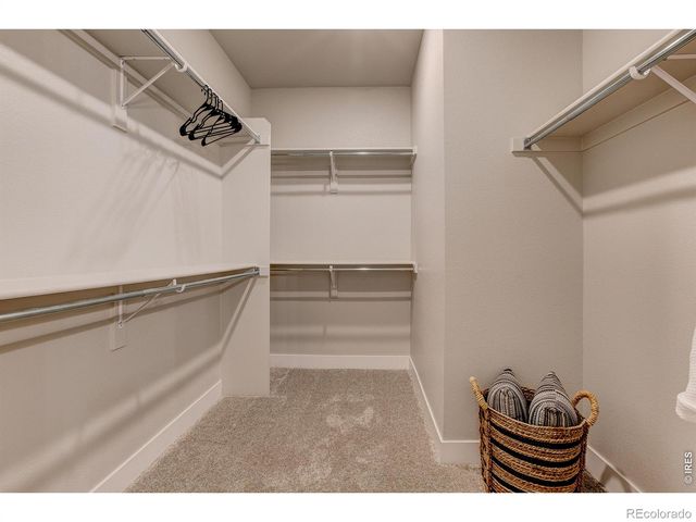 3440 Hightower Drive 208, Loveland, CO 80538