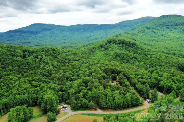 000 Laughter Road, Mill Spring, NC 28756