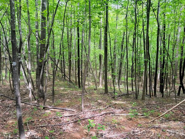 000 Laughter Road, Mill Spring, NC 28756