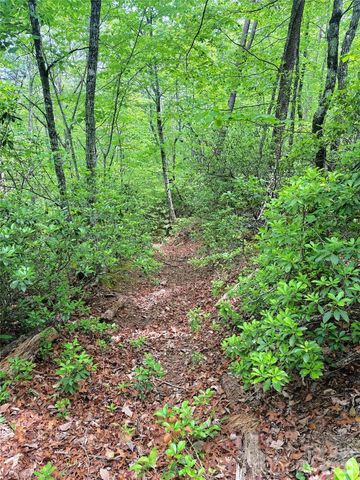 000 Laughter Road, Mill Spring, NC 28756