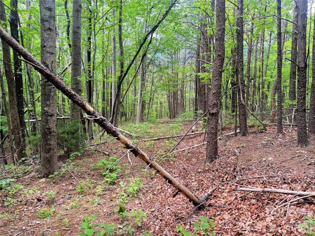 000 Laughter Road, Mill Spring, NC 28756