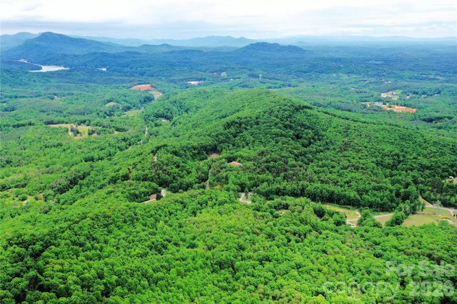 000 Laughter Road, Mill Spring, NC 28756
