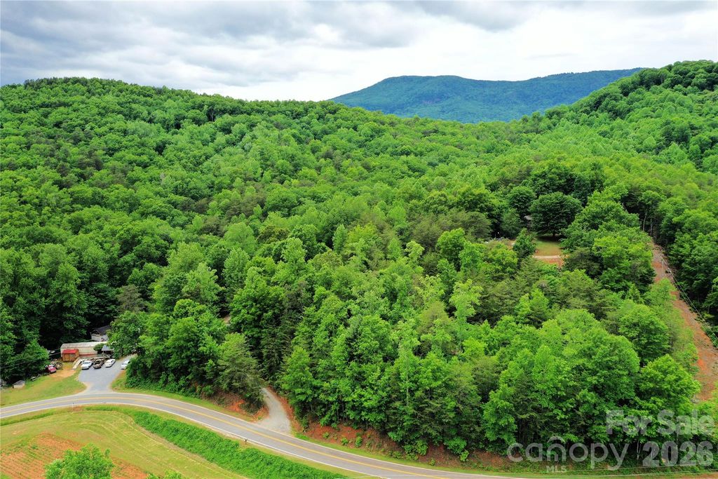 000 Laughter Road, Mill Spring, NC 28756