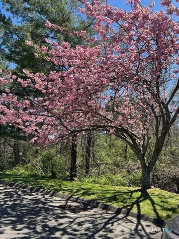 454 Swanson Crescent 454, Milford, CT 06461