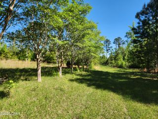 19265 SE Wrennie Moody, Blountstown, FL 32424