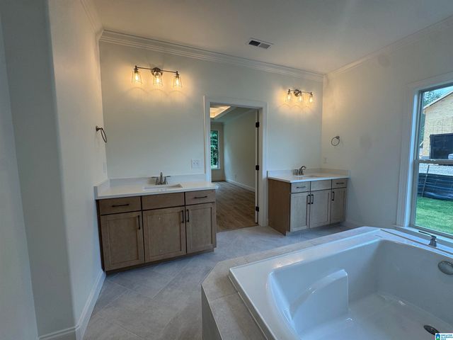3269 RIVERBIRCH TRAIL, Chelsea, AL 35043