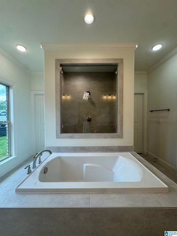 3269 RIVERBIRCH TRAIL, Chelsea, AL 35043