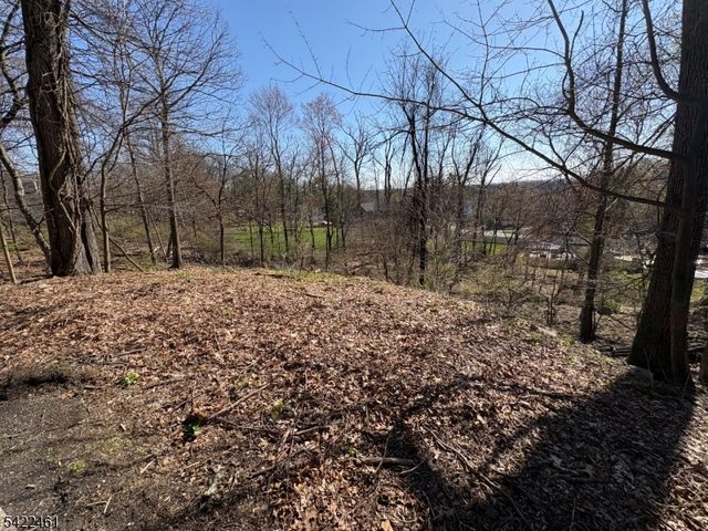 38 Dalewood Rd, Wayne Twp., NJ 07470