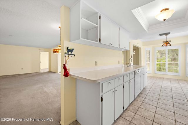 2629 Imperial Pine Drive, Spring Hill, FL 34606