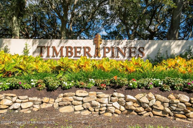 2629 Imperial Pine Drive, Spring Hill, FL 34606