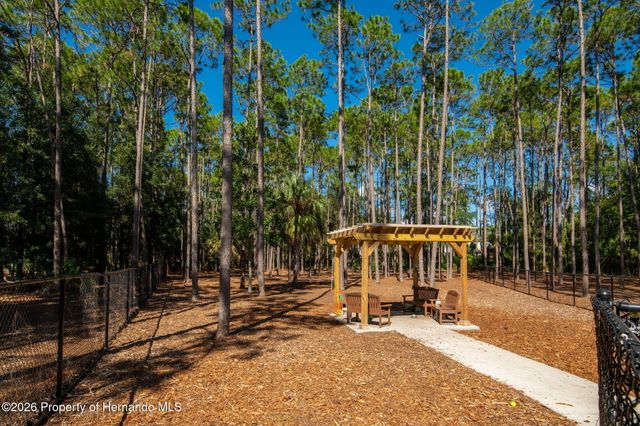 2629 Imperial Pine Drive, Spring Hill, FL 34606