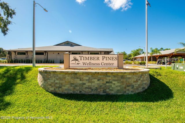 2629 Imperial Pine Drive, Spring Hill, FL 34606