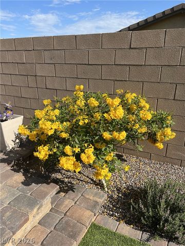 498 Pebble Run Avenue, Henderson, NV 89011