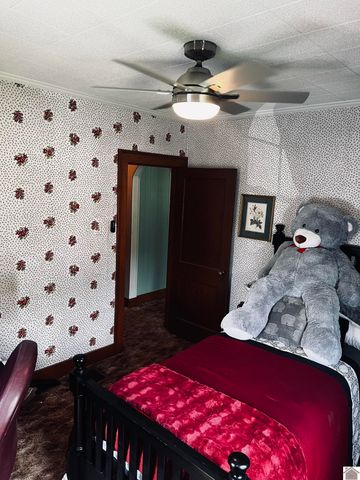 3211 Benton Rd, Paducah, KY 42003