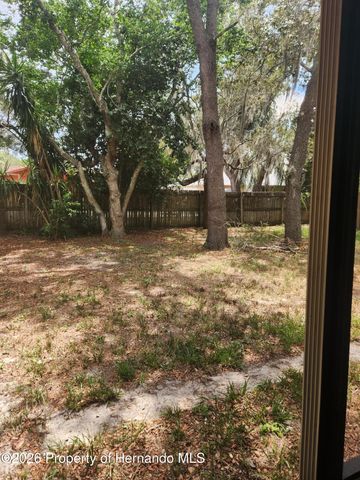 6202 Piedmont Drive, Spring Hill, FL 34606