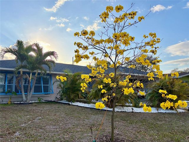 1471 SAN ROY DRIVE, Dunedin, FL 34698