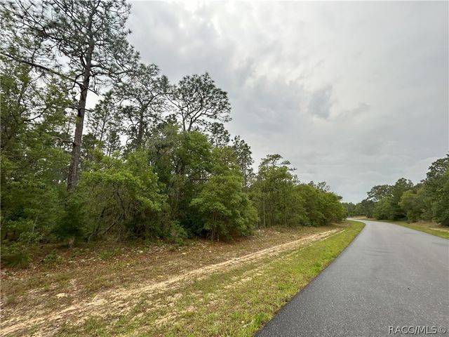 1594 W Donner Drive, Citrus Springs, FL 34434