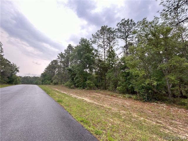 1594 W Donner Drive, Citrus Springs, FL 34434