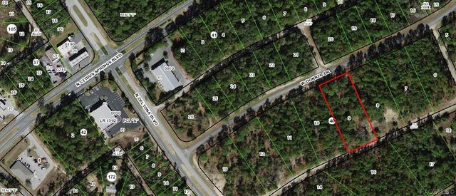 1594 W Donner Drive, Citrus Springs, FL 34434