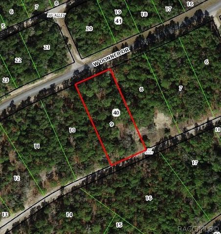 1594 W Donner Drive, Citrus Springs, FL 34434