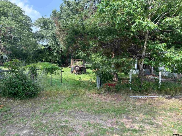 141 PR 6252, Mineola, TX 75773