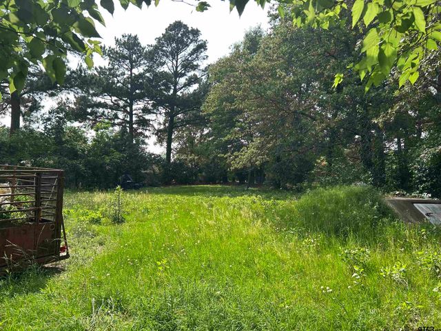 141 PR 6252, Mineola, TX 75773