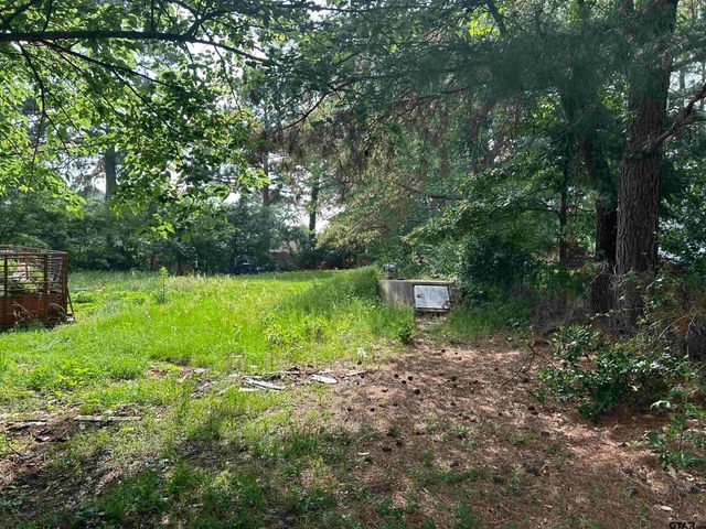 141 PR 6252, Mineola, TX 75773