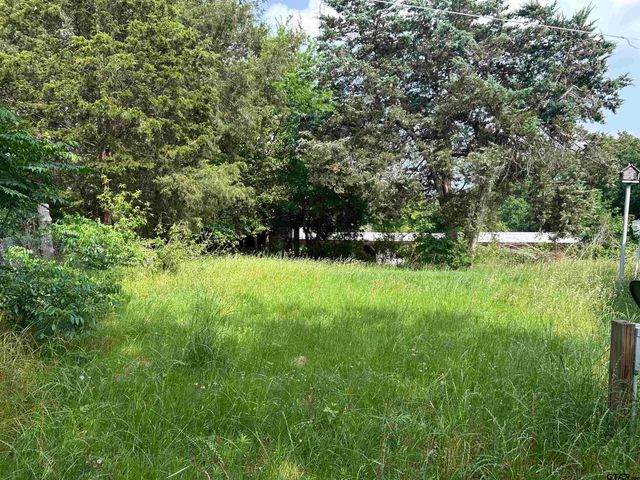 141 PR 6252, Mineola, TX 75773