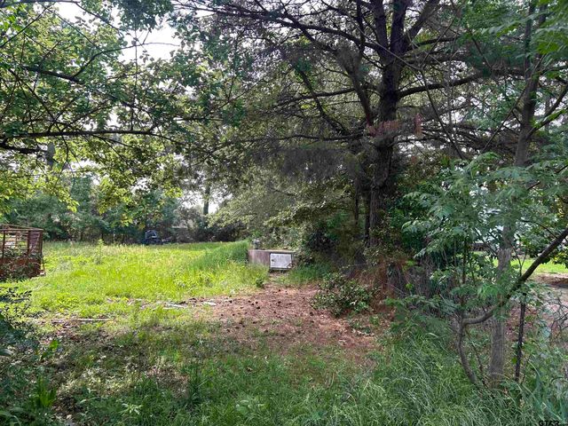 141 PR 6252, Mineola, TX 75773