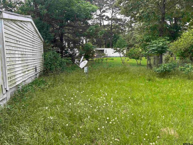 141 PR 6252, Mineola, TX 75773