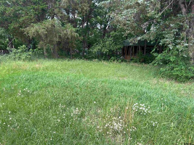 141 PR 6252, Mineola, TX 75773