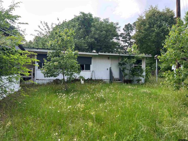 141 PR 6252, Mineola, TX 75773