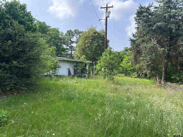 141 PR 6252, Mineola, TX 75773