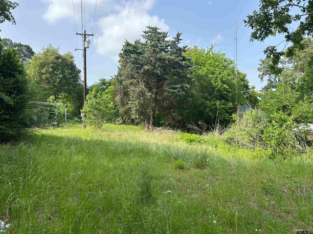 141 PR 6252, Mineola, TX 75773