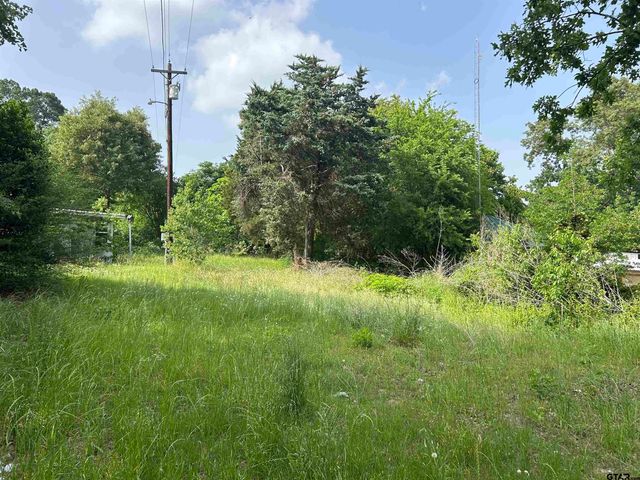 141 PR 6252, Mineola, TX 75773